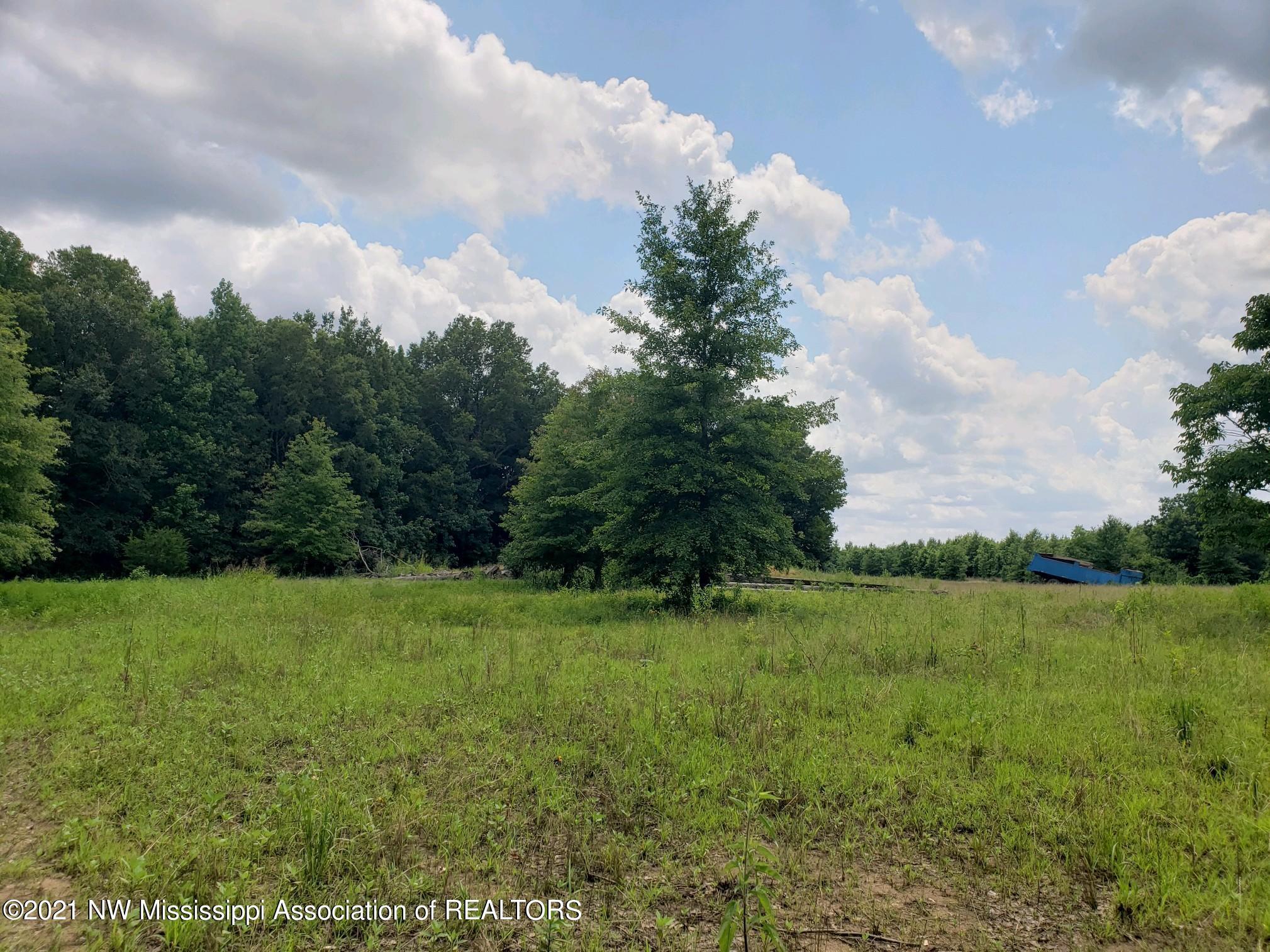 1 Bobo Road Batesville, MS 38606 - Photo 21 of 39 20210708_142835