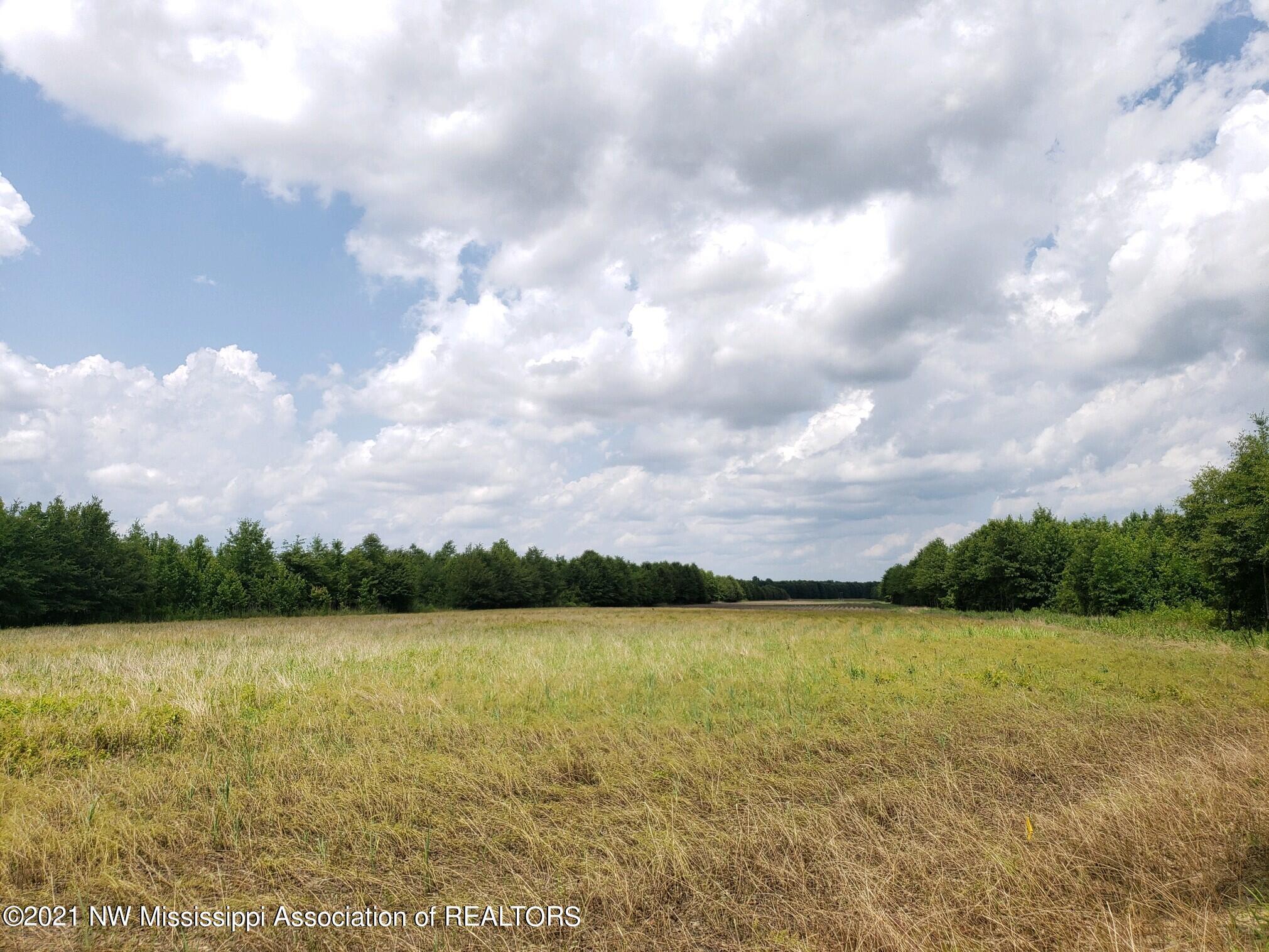 1 Bobo Road Batesville, MS 38606 - Photo 23 of 39 20210708_142924