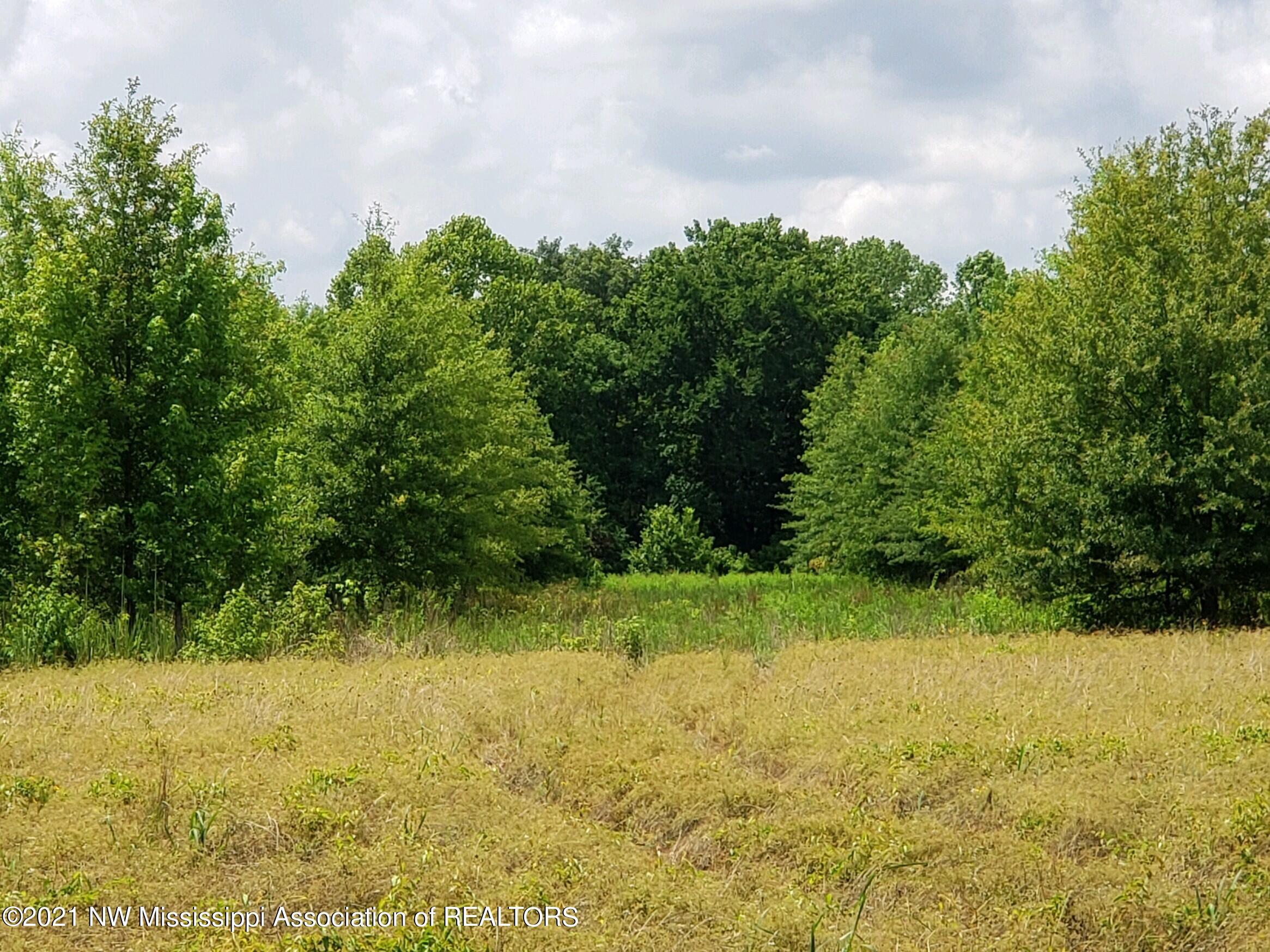 1 Bobo Road Batesville, MS 38606 - Photo 25 of 39 20210708_143028