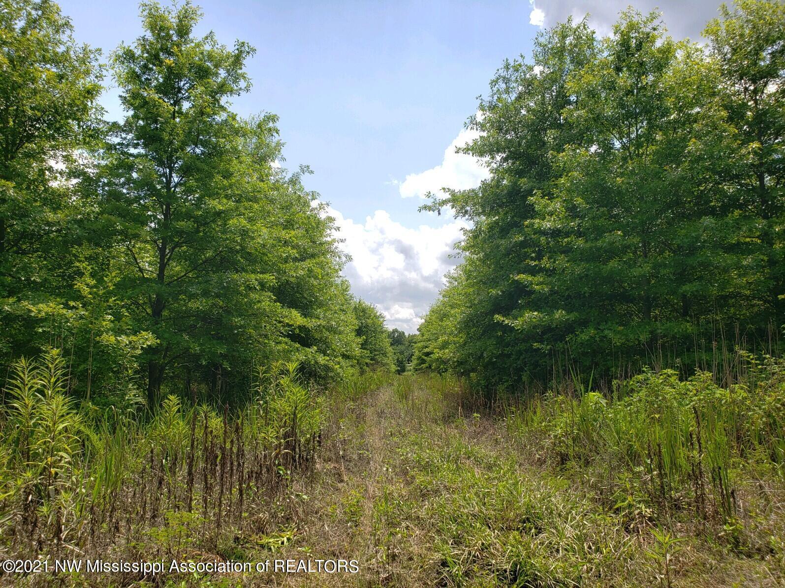 1 Bobo Road Batesville, MS 38606 - Photo 27 of 39 20210708_143340