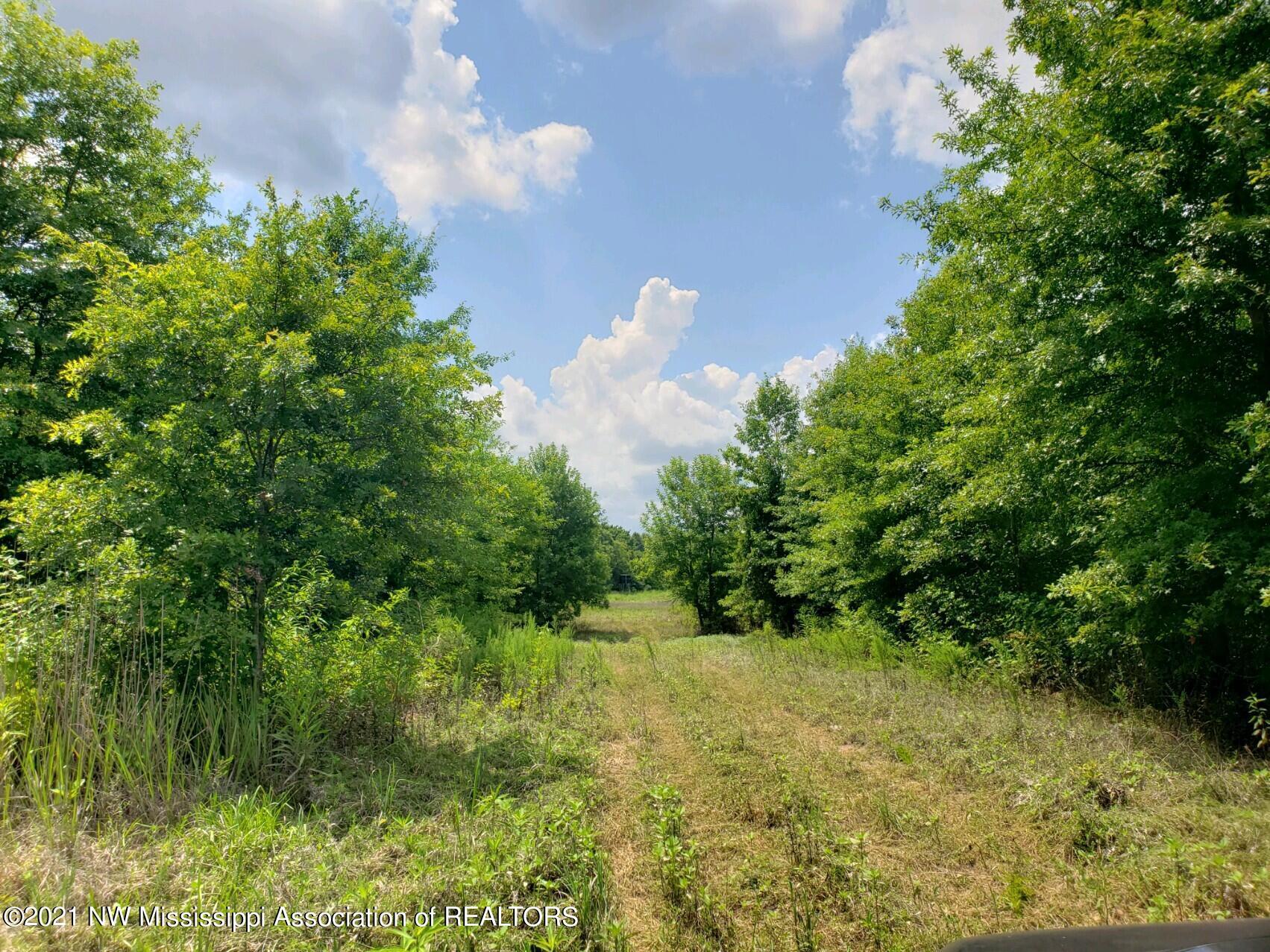 1 Bobo Road Batesville, MS 38606 - Photo 28 of 39 20210708_143347