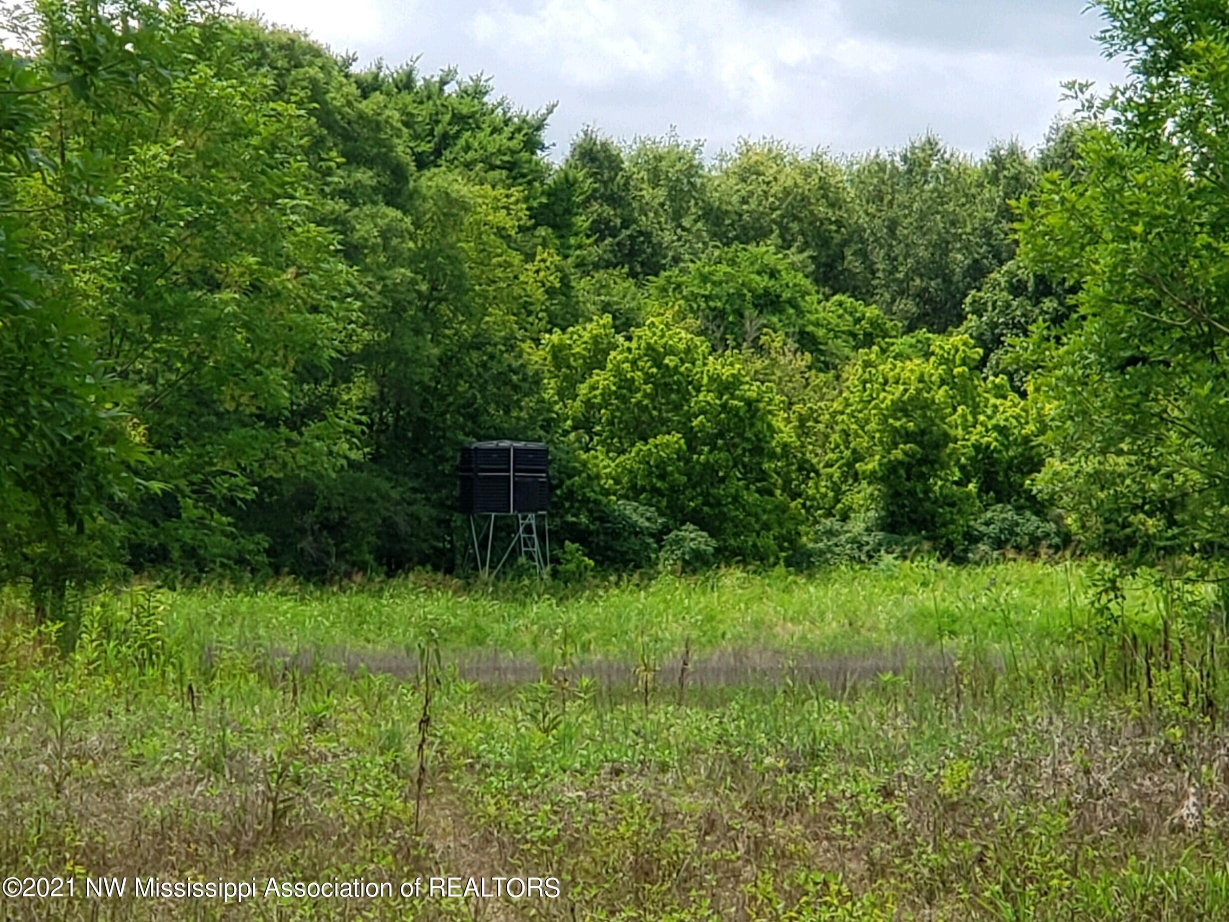 1 Bobo Road Batesville, MS 38606 - Photo 29 of 39 20210708_143449
