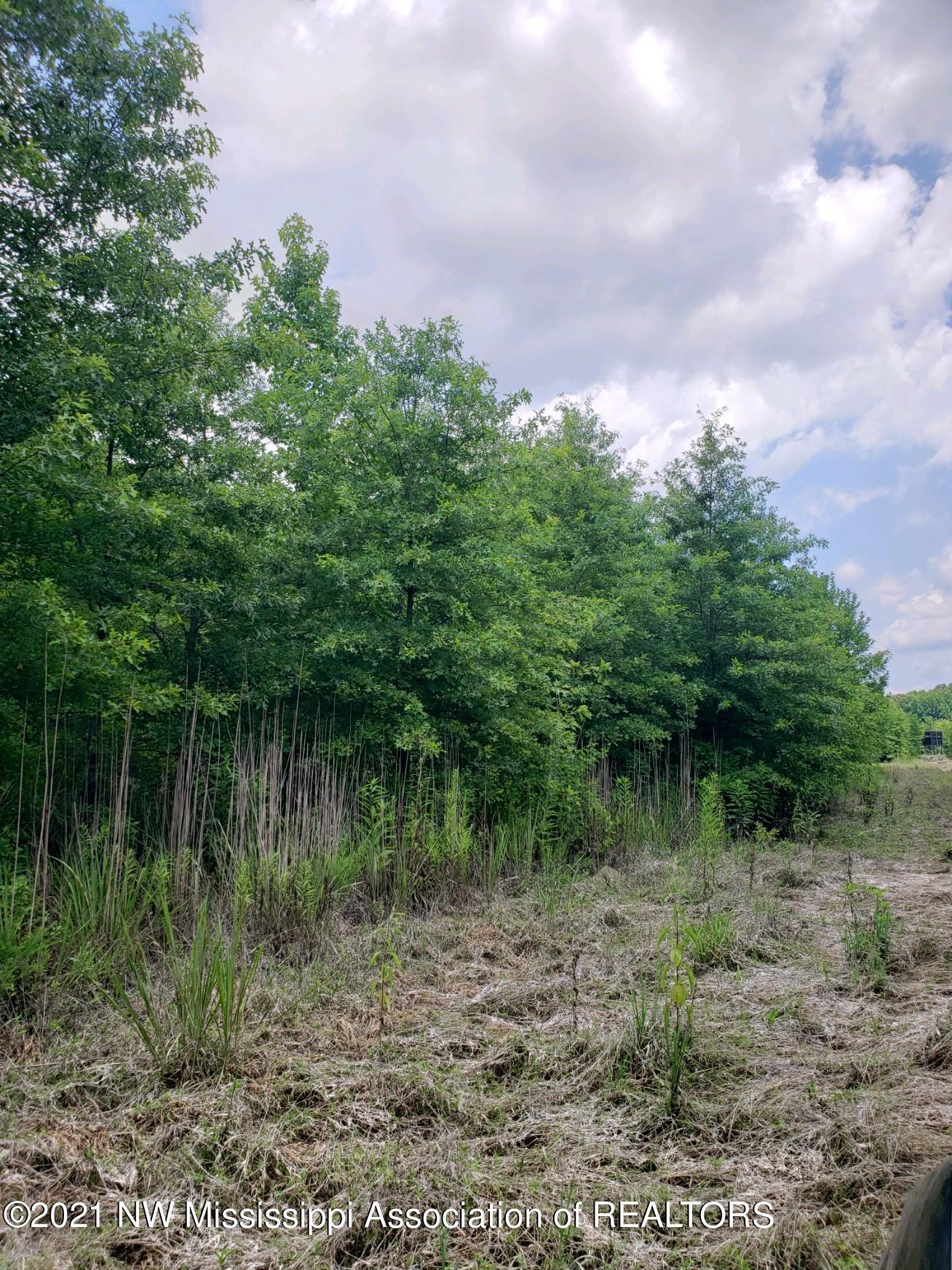 1 Bobo Road Batesville, MS 38606 - Photo 30 of 39 20210708_143616
