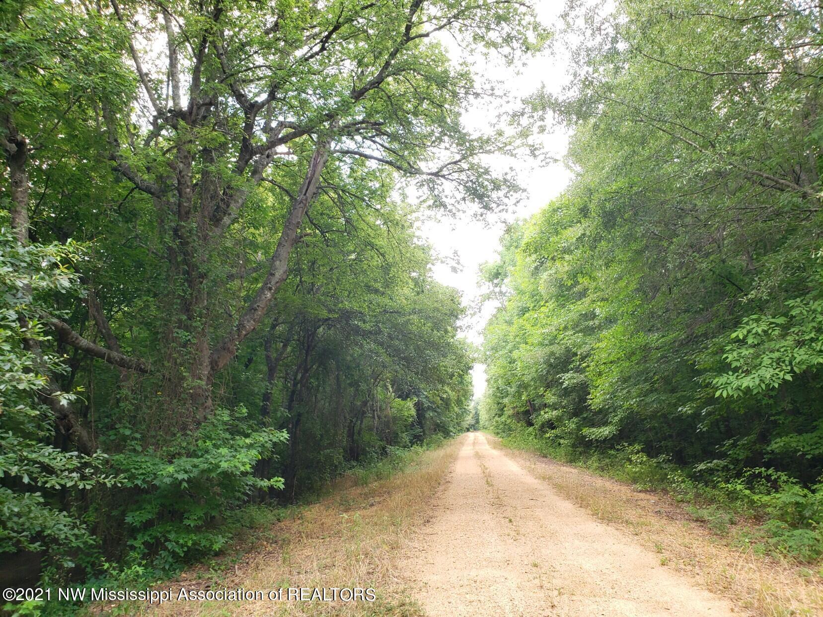 1 Bobo Road Batesville, MS 38606 - Photo 3 of 39 20210708_141614