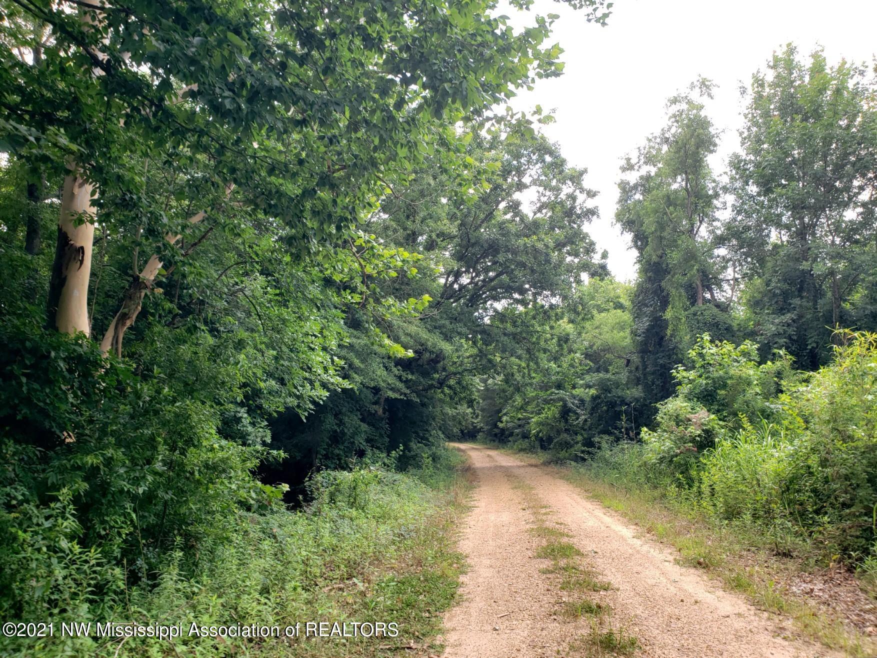 1 Bobo Road Batesville, MS 38606 - Photo 4 of 39 20210708_141827