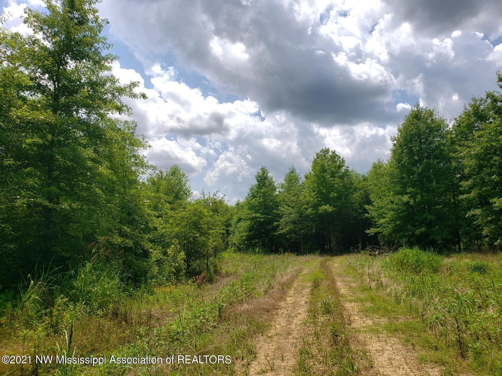 1 Bobo Road Batesville, MS 38606 - Photo 5 of 39 20210708_141936 (1)