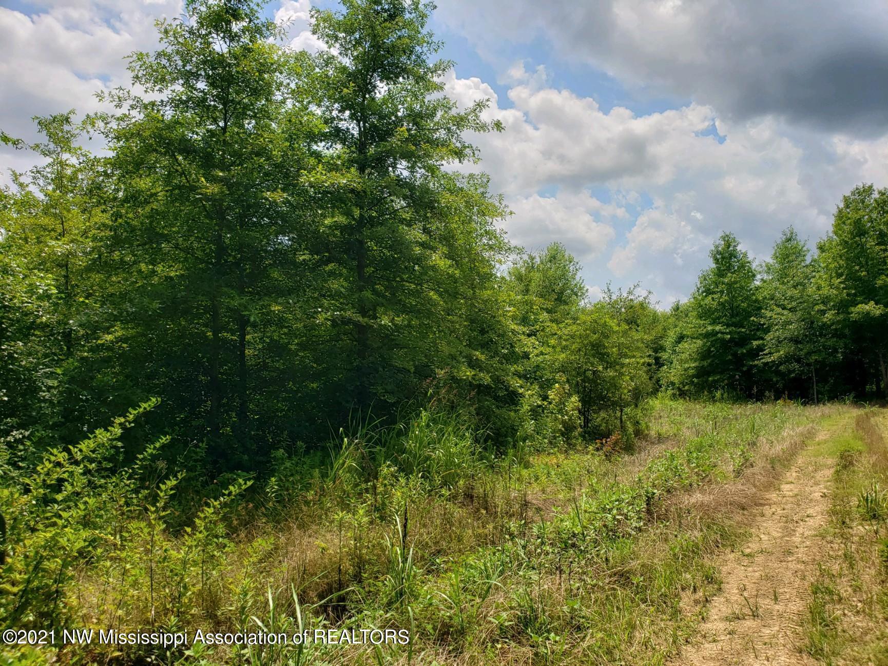 1 Bobo Road Batesville, MS 38606 - Photo 8 of 39 20210708_141942