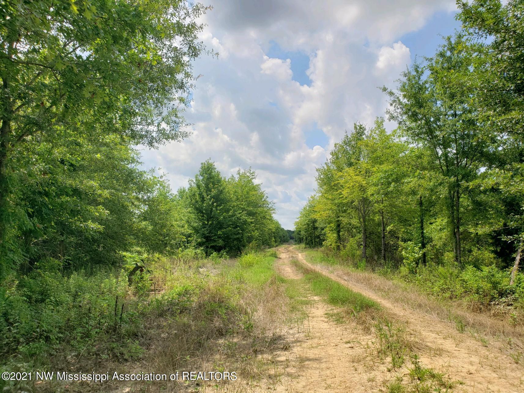1 Bobo Road Batesville, MS 38606 - Photo 9 of 39 20210708_142017