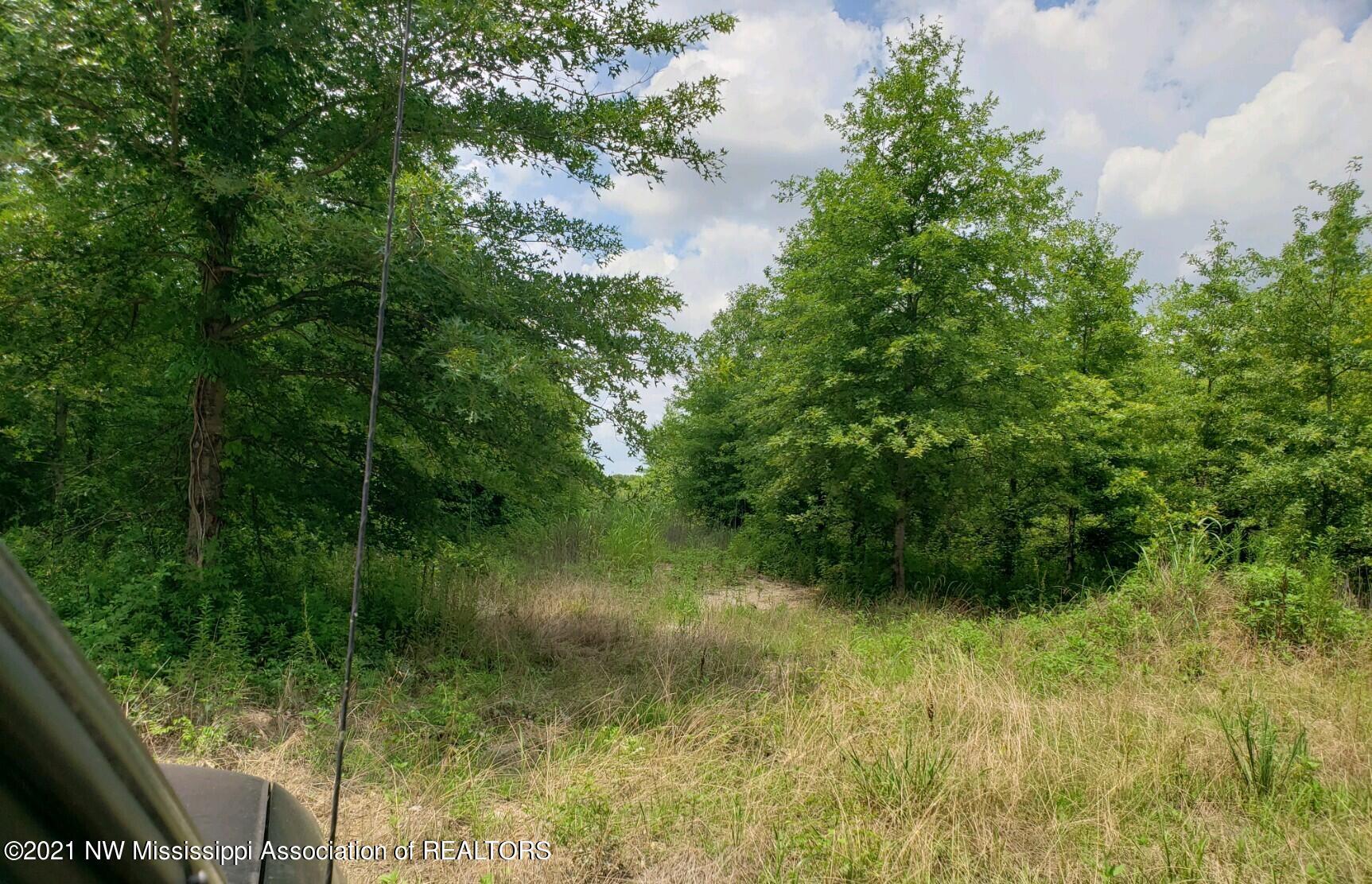 1 Bobo Road Batesville, MS 38606 - Photo 10 of 39 20210708_142035