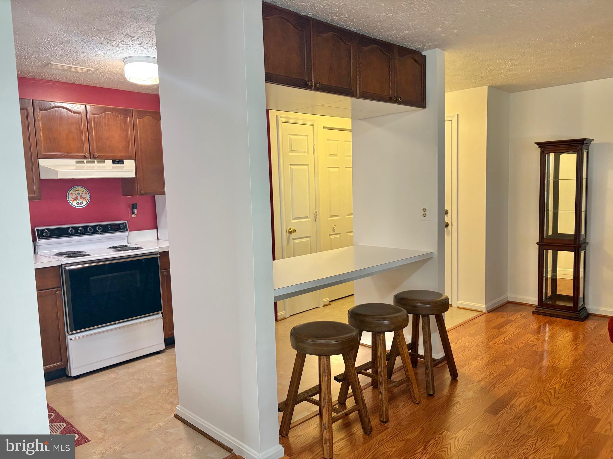2108 Whitehall Road, Unit BC Frederick, MD 21702 - Photo 12 of 35 Spacious Open Kitchen