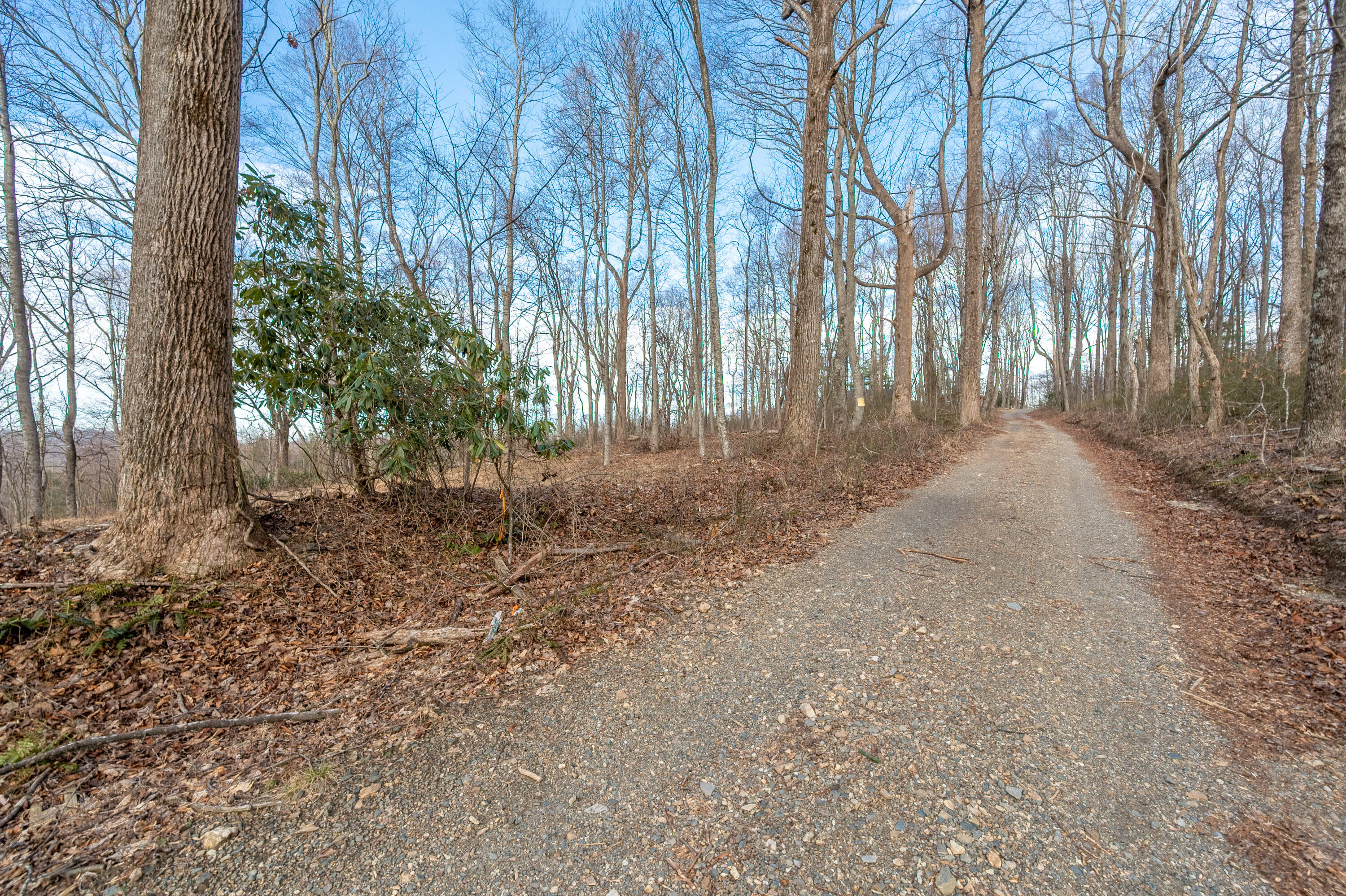 Tbd Blue Rdg Parkway Fancy Gap, VA 24328 - Photo 20 of 49 Fancy-Gap-2-8