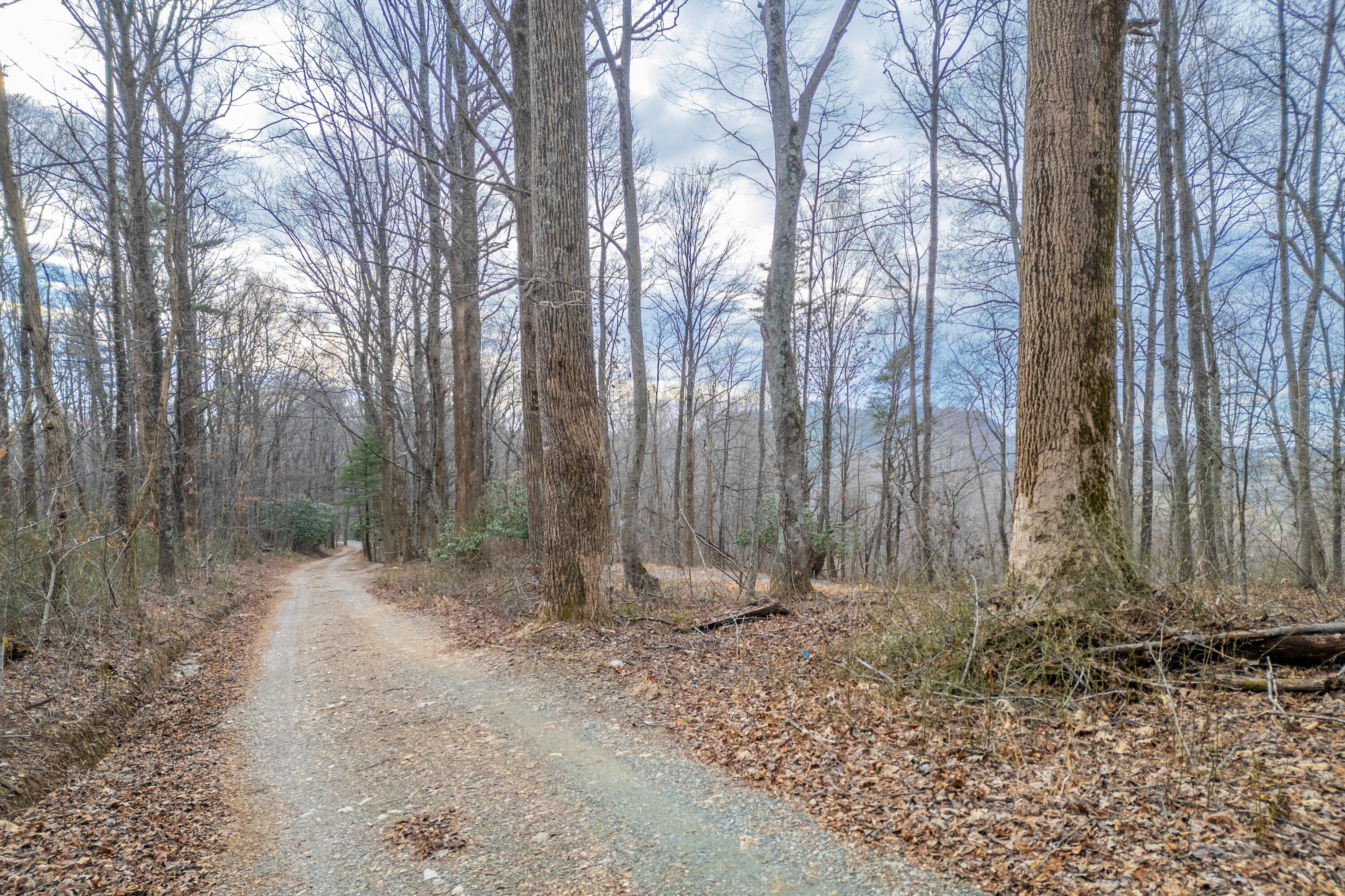 Tbd Blue Rdg Parkway Fancy Gap, VA 24328 - Photo 23 of 49 Fancy-Gap-2-11
