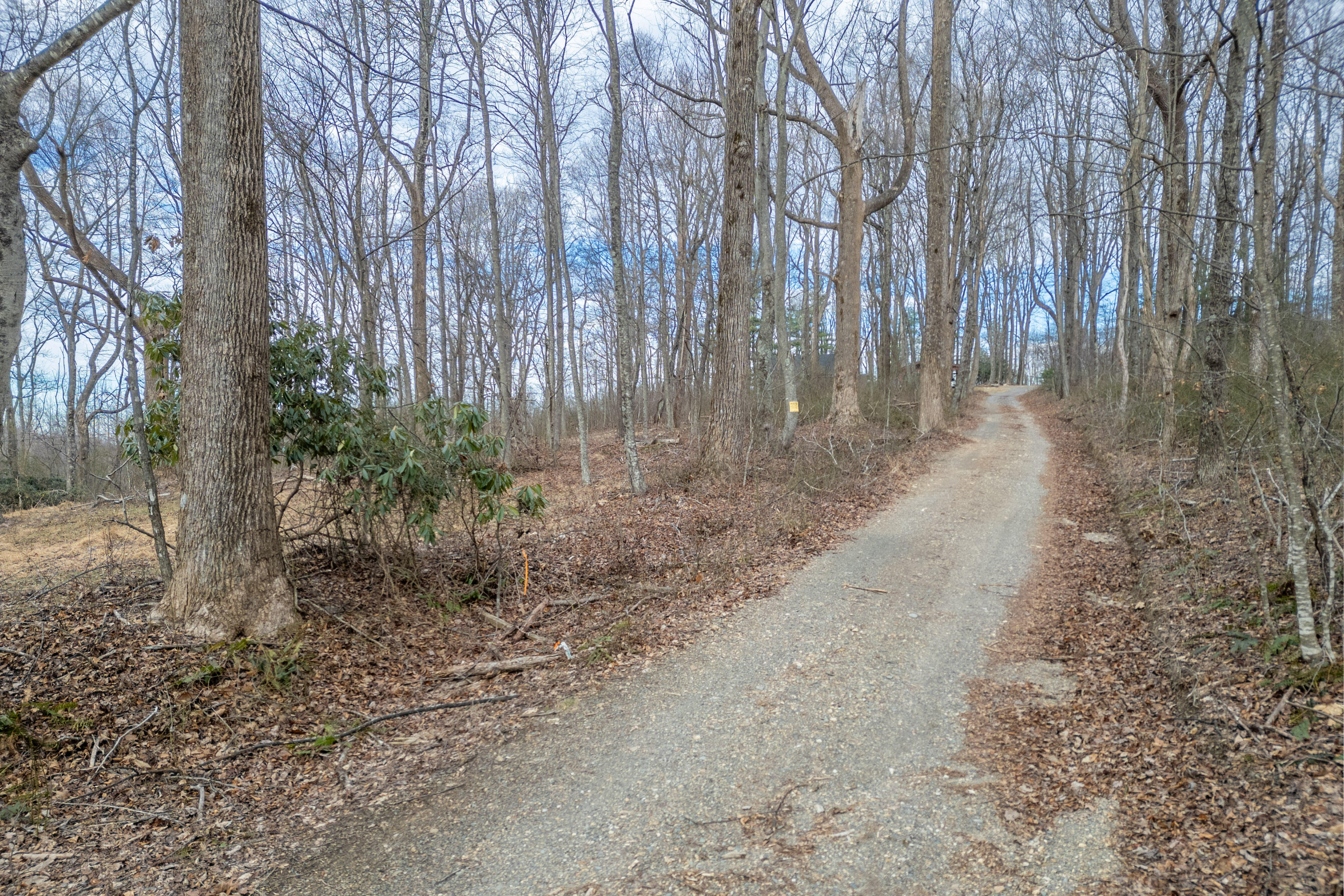 Tbd Blue Rdg Parkway Fancy Gap, VA 24328 - Photo 24 of 49 Fancy-Gap-2-12