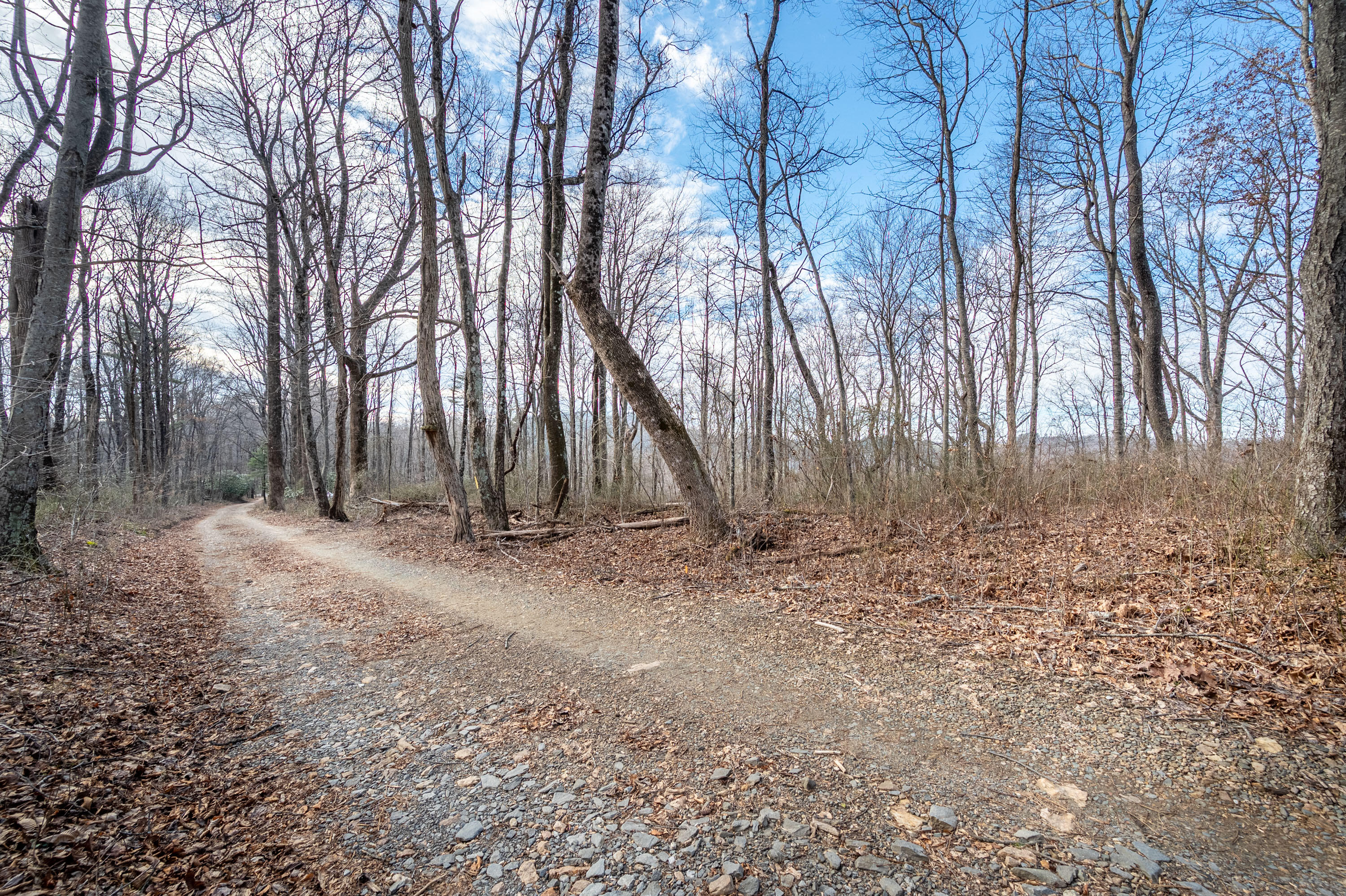 Tbd Blue Rdg Parkway Fancy Gap, VA 24328 - Photo 25 of 49 Fancy-Gap-3-1
