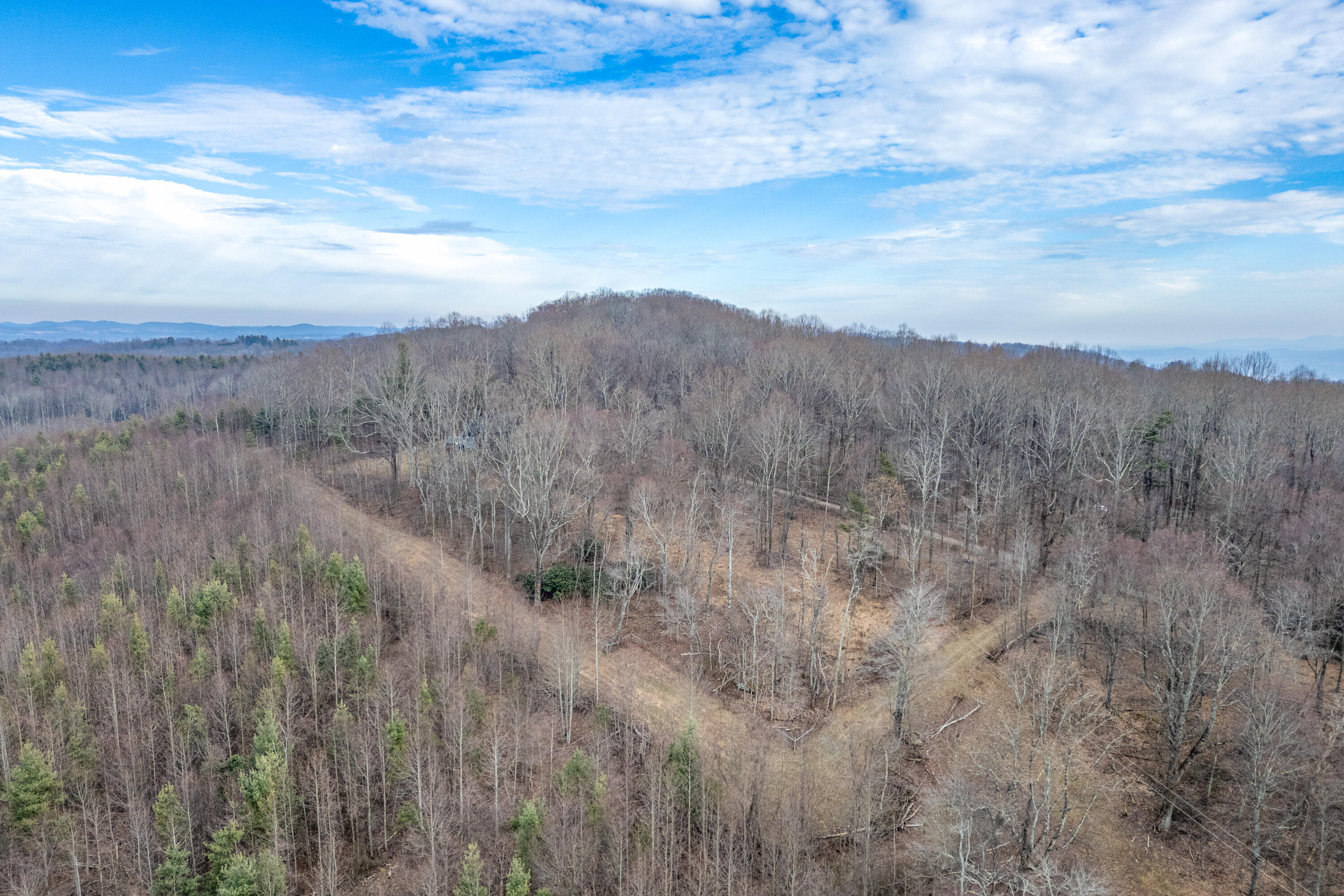 Tbd Blue Rdg Parkway Fancy Gap, VA 24328 - Photo 41 of 49 Fancy-Gap-ALL-7