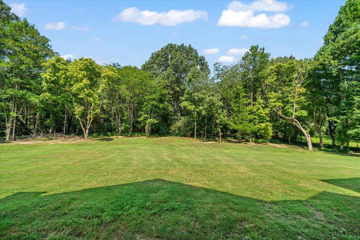211 South Collierville Arlington Road Collierville, TN 38017 - Photo 38 of 40 View of green lawn