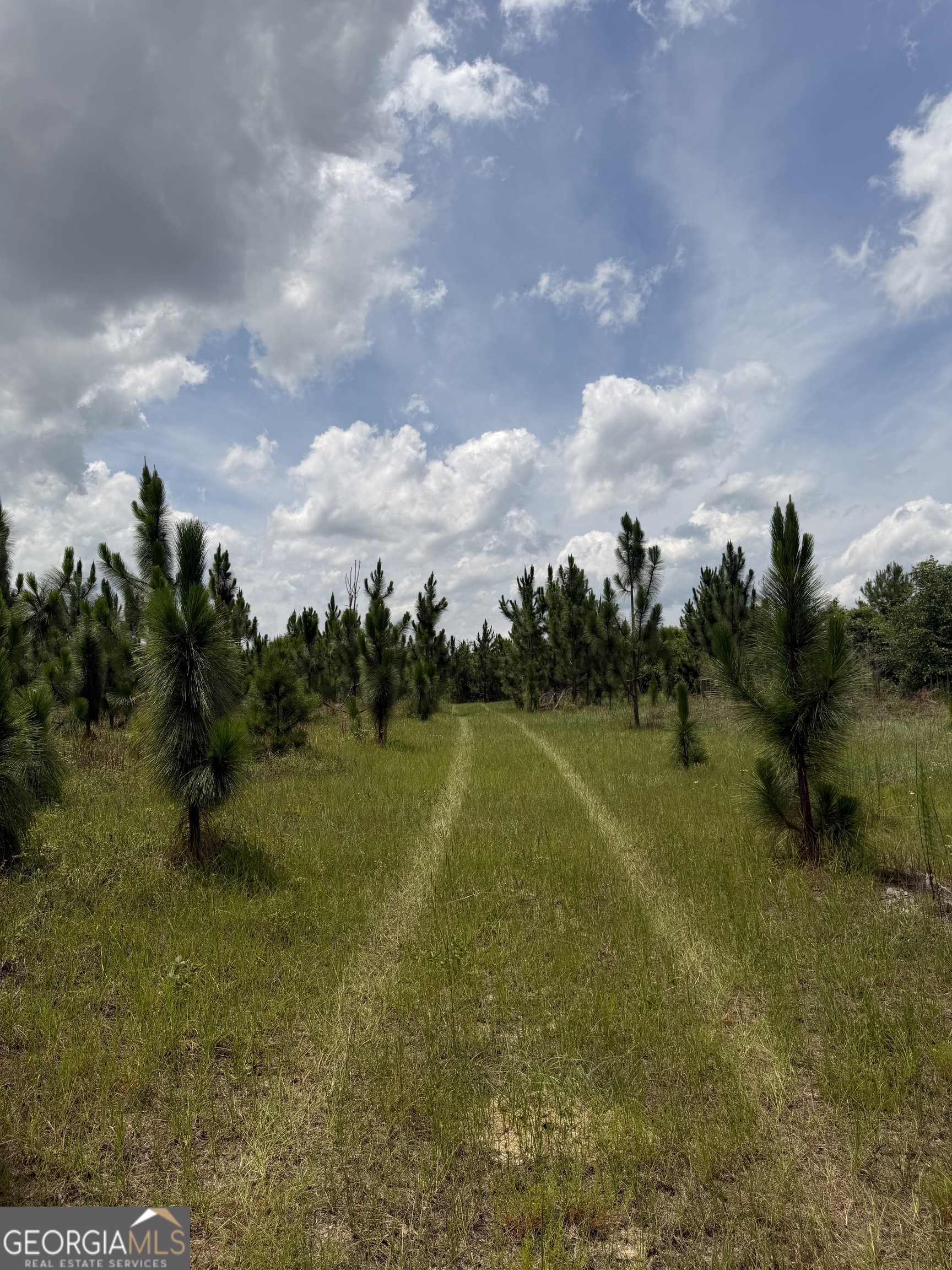 0 West River Road Rhine, GA 31077 - Photo 3 of 31