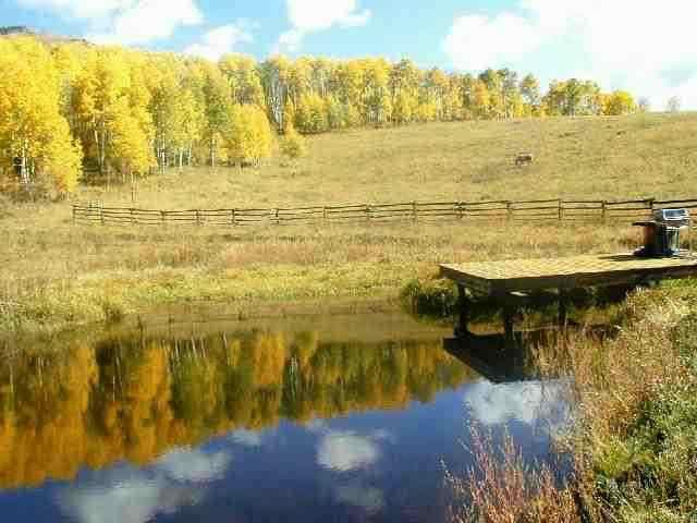810 Ruedi Creek, Unit ROAD Basalt, CO 81621 - Photo 3 of 9 Additional Photo