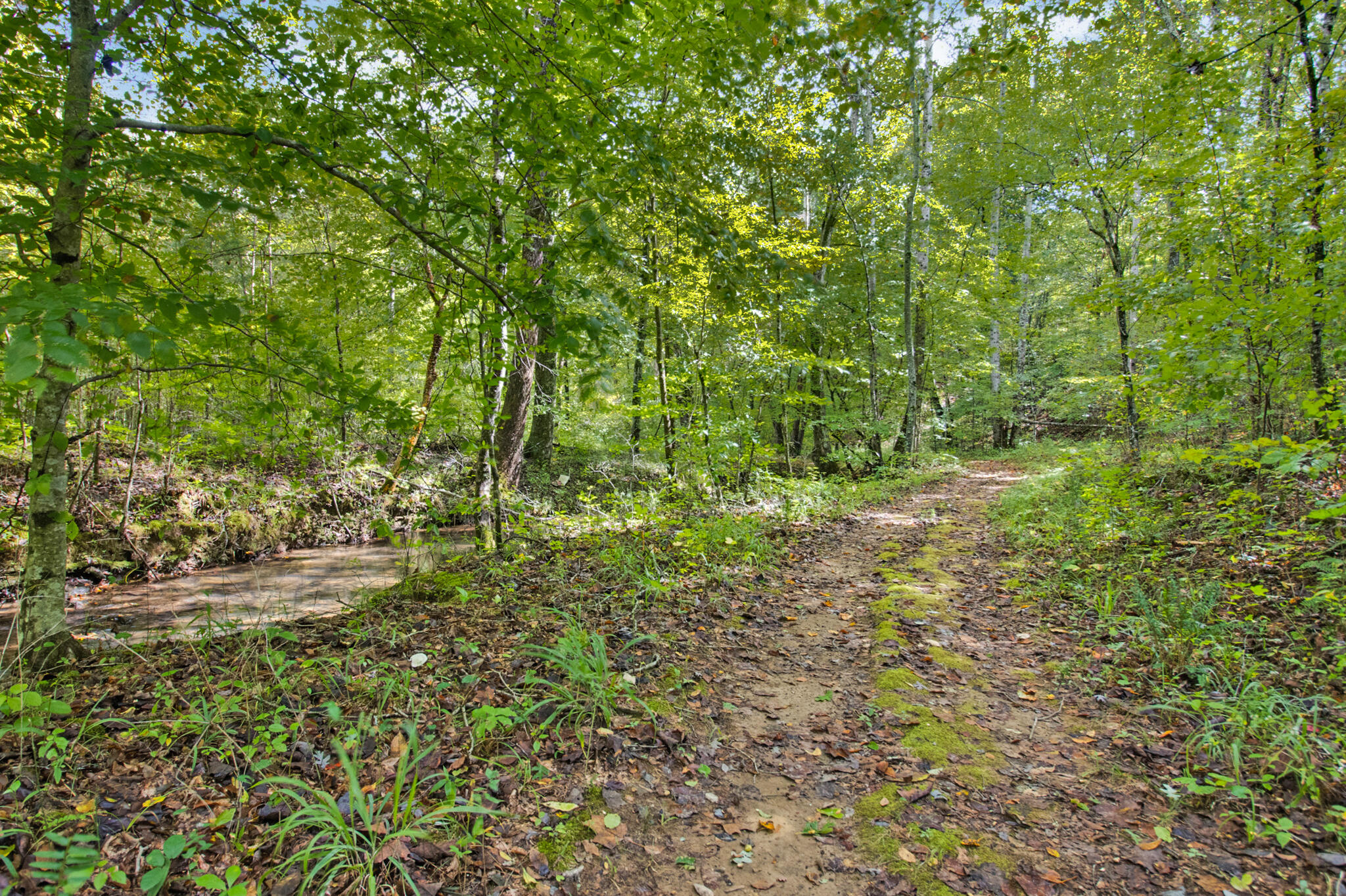 1434 Cranmore Cove Road Dayton, TN 37321 - Photo 52 of 73 img_1649-img_1653