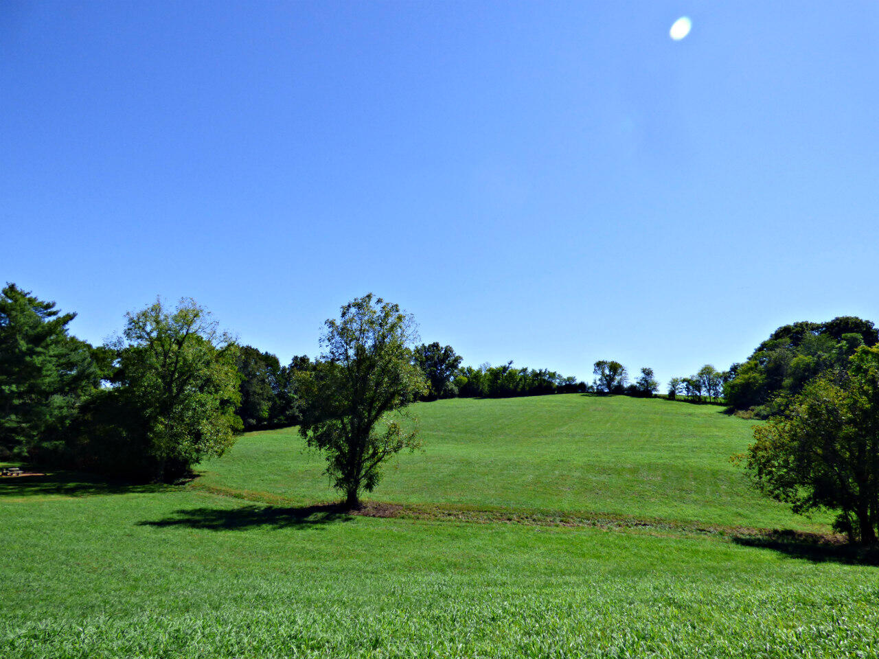 577 Columbia Road Jefferson City, TN 37760 - Photo 22 of 30 P1240158