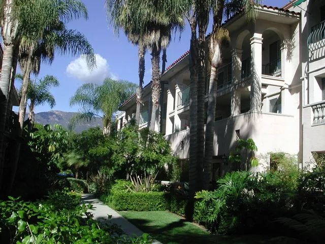 a view of a palm trees in front of a building