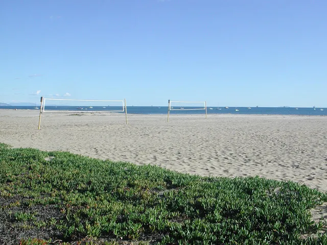 a view of an ocean beach