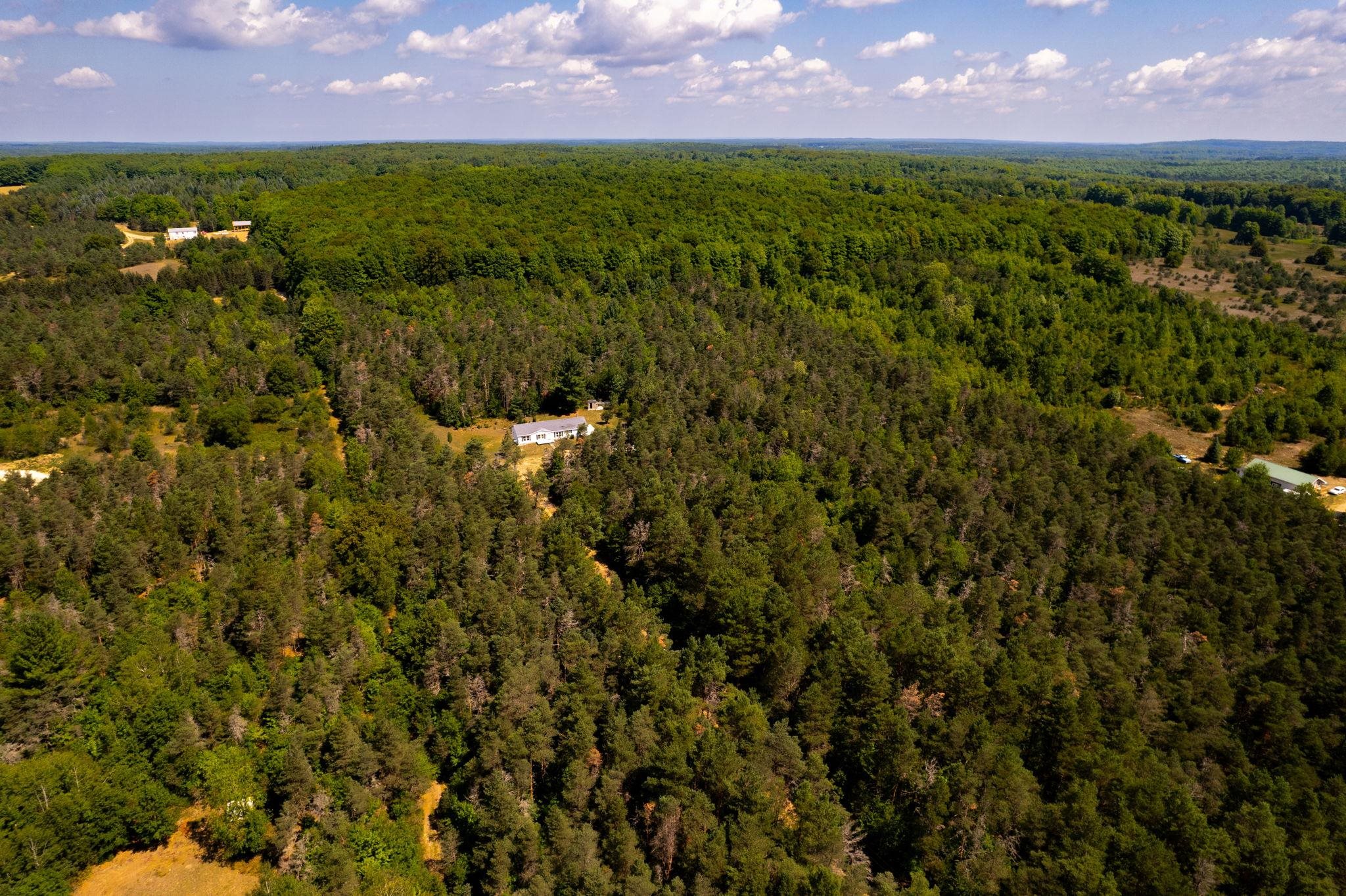 5944 Gonyer Road Southwest Fife Lake, MI 49633 - Photo 50 of 50 1914203-74.JPG