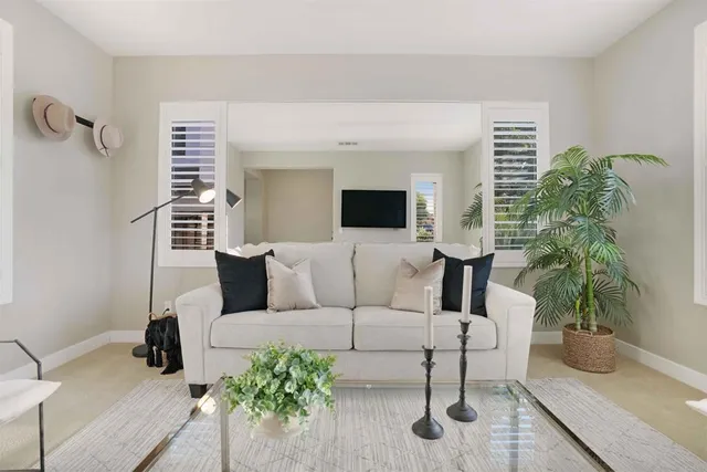 a living room with furniture and a potted plant