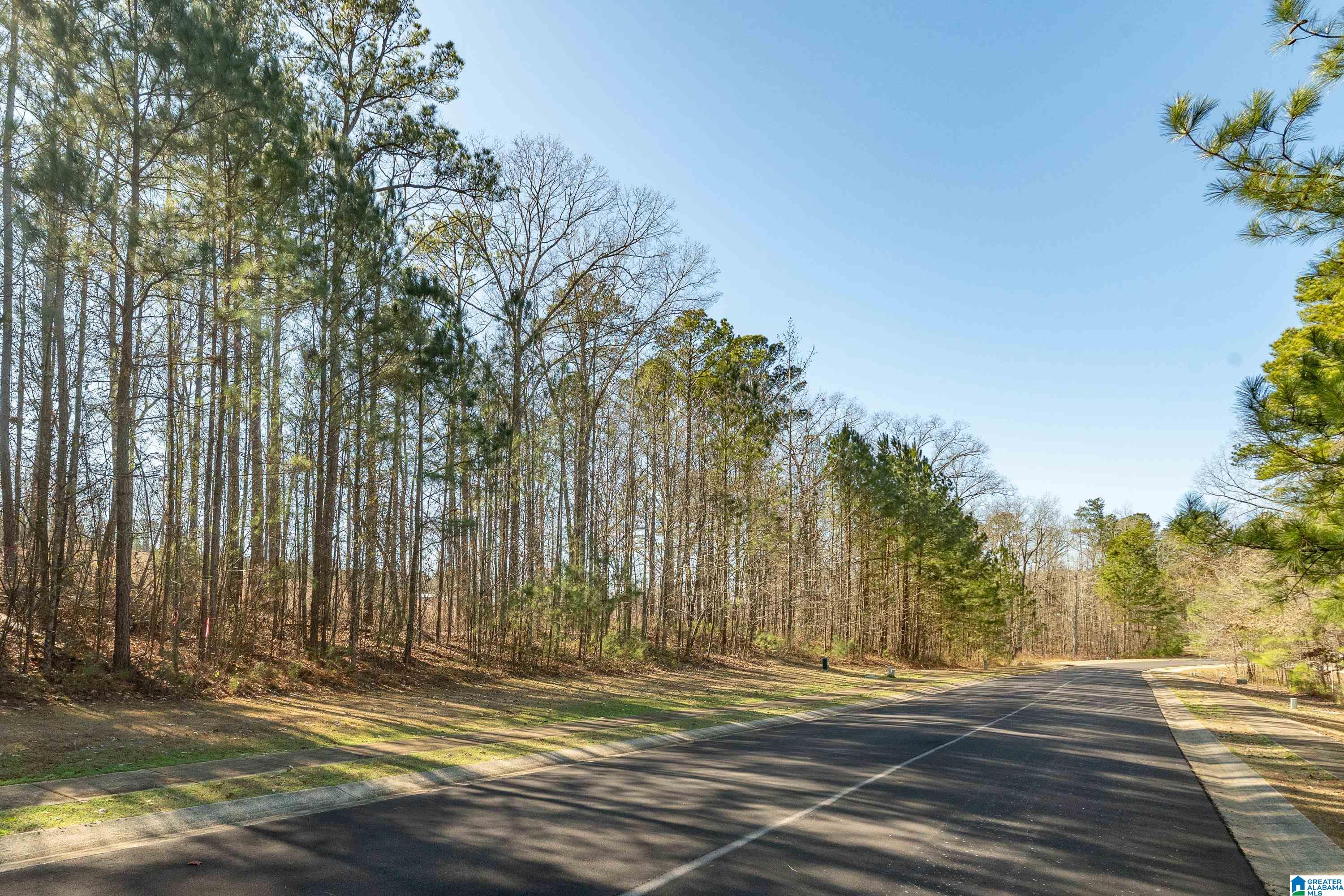 100 Coves Drive Vincent, AL 35178 - Photo 12 of 21