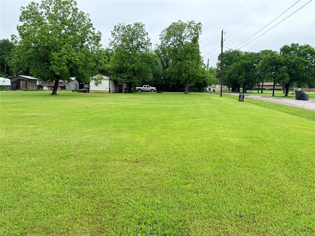 208 South Porch Street Tioga, TX 76271 - Photo 1 of 5 a view of a trees with a big yard