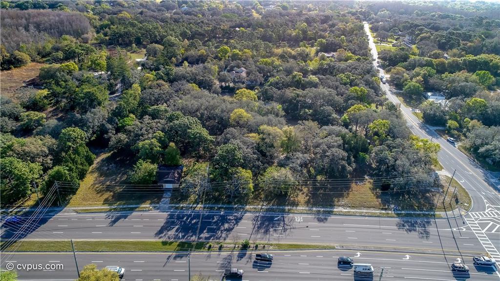 10452 Little Road New Port Richey, FL 34654 - Photo 3 of 6 Gallery Image 3