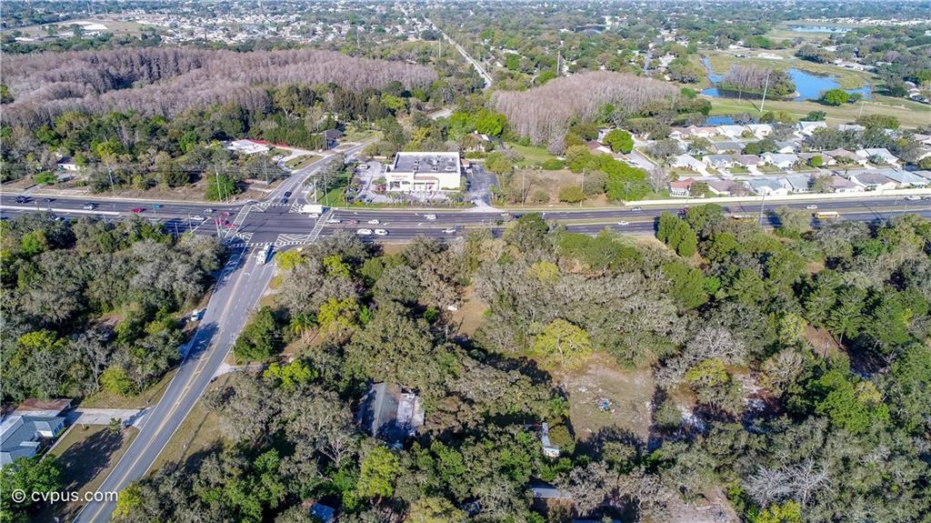 10452 Little Road New Port Richey, FL 34654 - Photo 4 of 6 Gallery Image 4