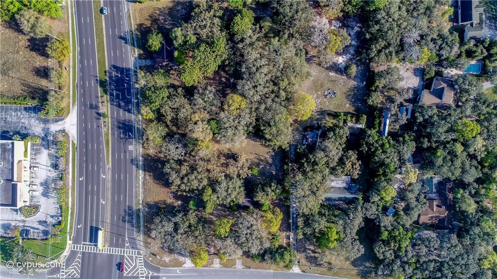 10452 Little Road New Port Richey, FL 34654 - Photo 5 of 6 Gallery Image 5