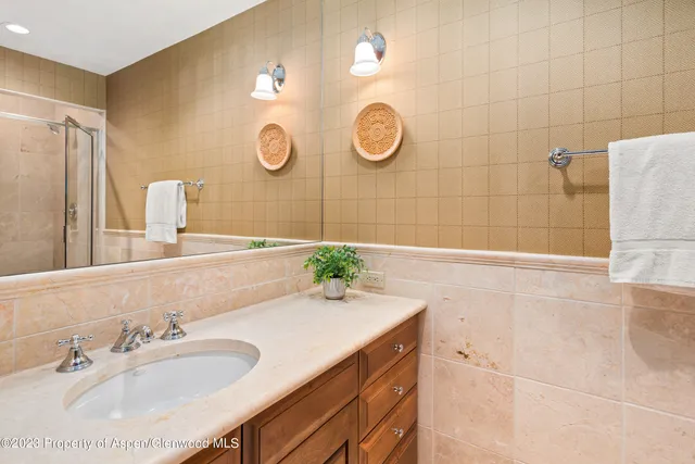 $55,000 | 83 Exhibition Lane, Aspen, CO 81611