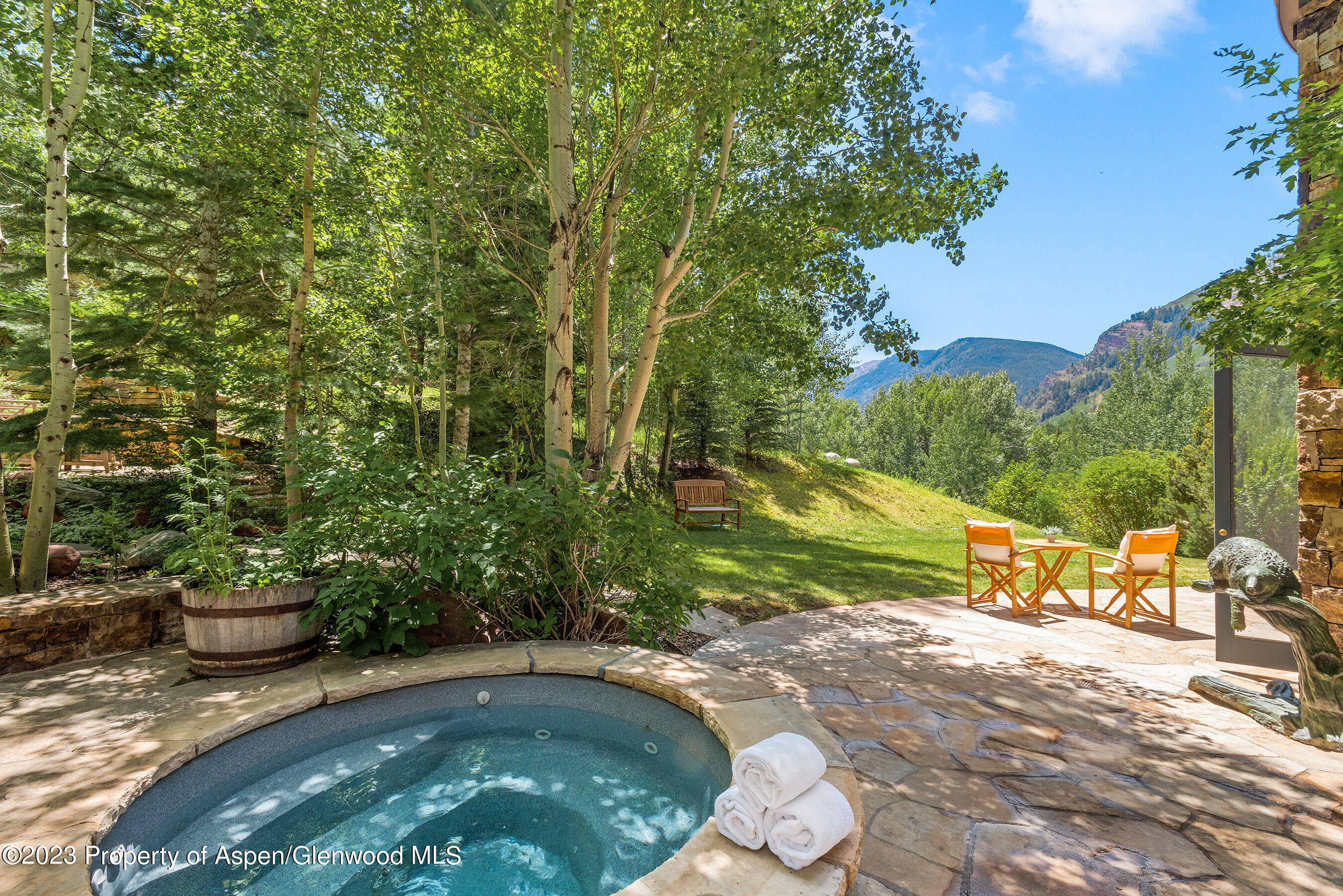 83 Exhibition Lane Aspen, CO 81611 - Photo 38 of 47 Inground Spa