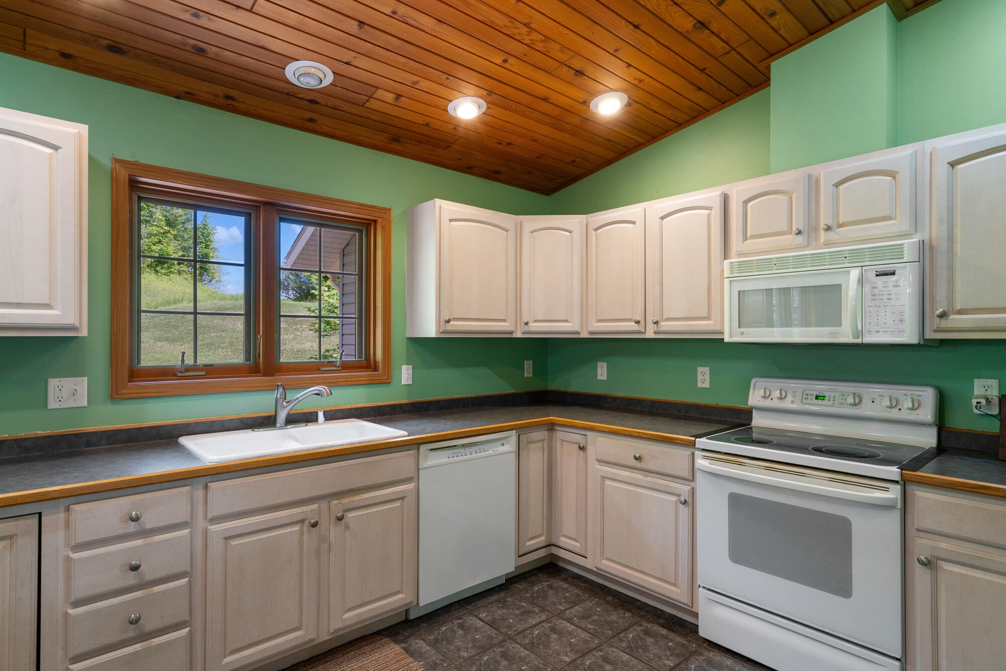 6220 Reams Road Alanson, MI 49706 - Photo 19 of 53 Gallery Image 19