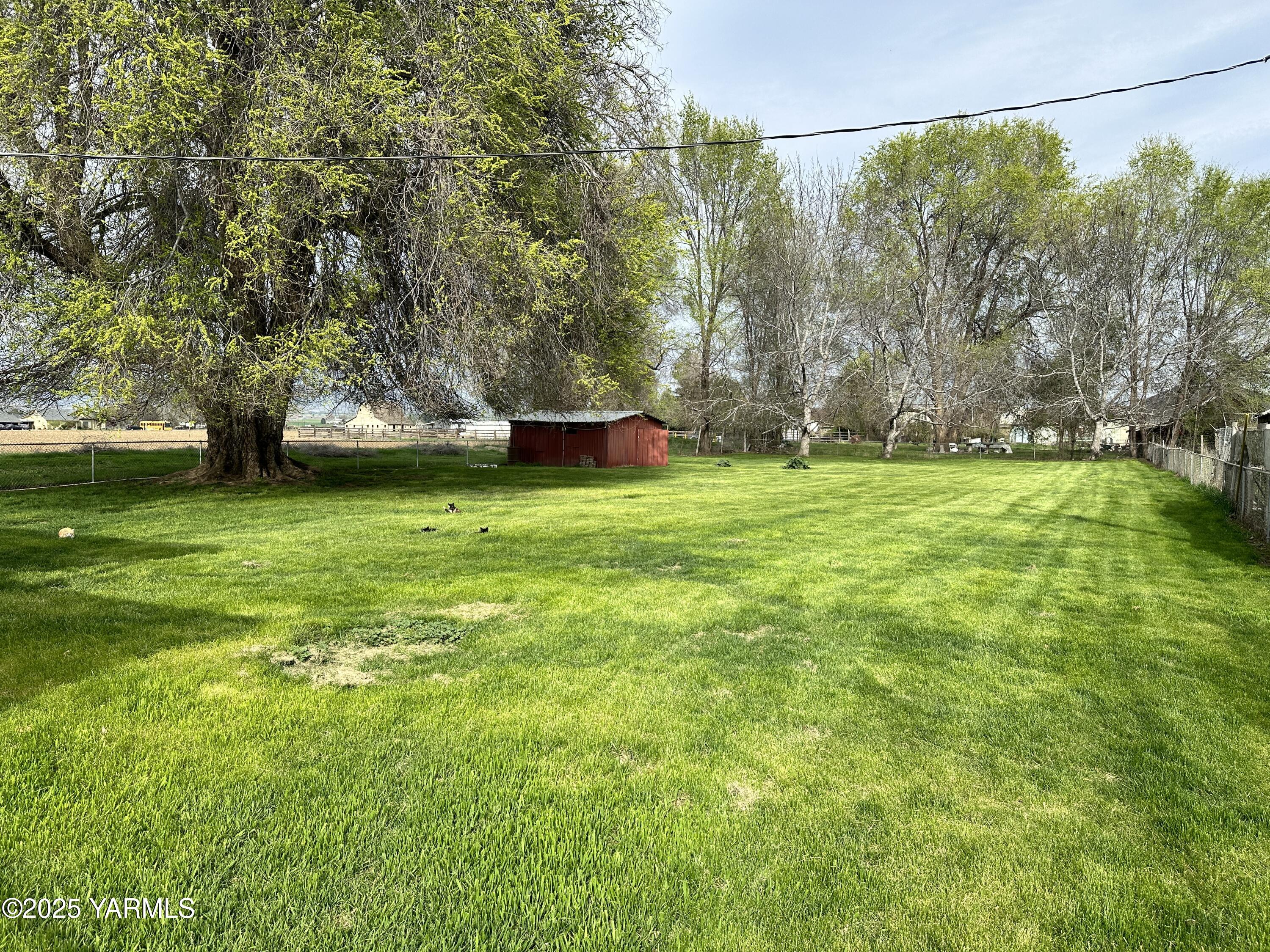1122 McClain Drive Sunnyside, WA 98944 - Photo 8 of 8 a view of a tree in a yard