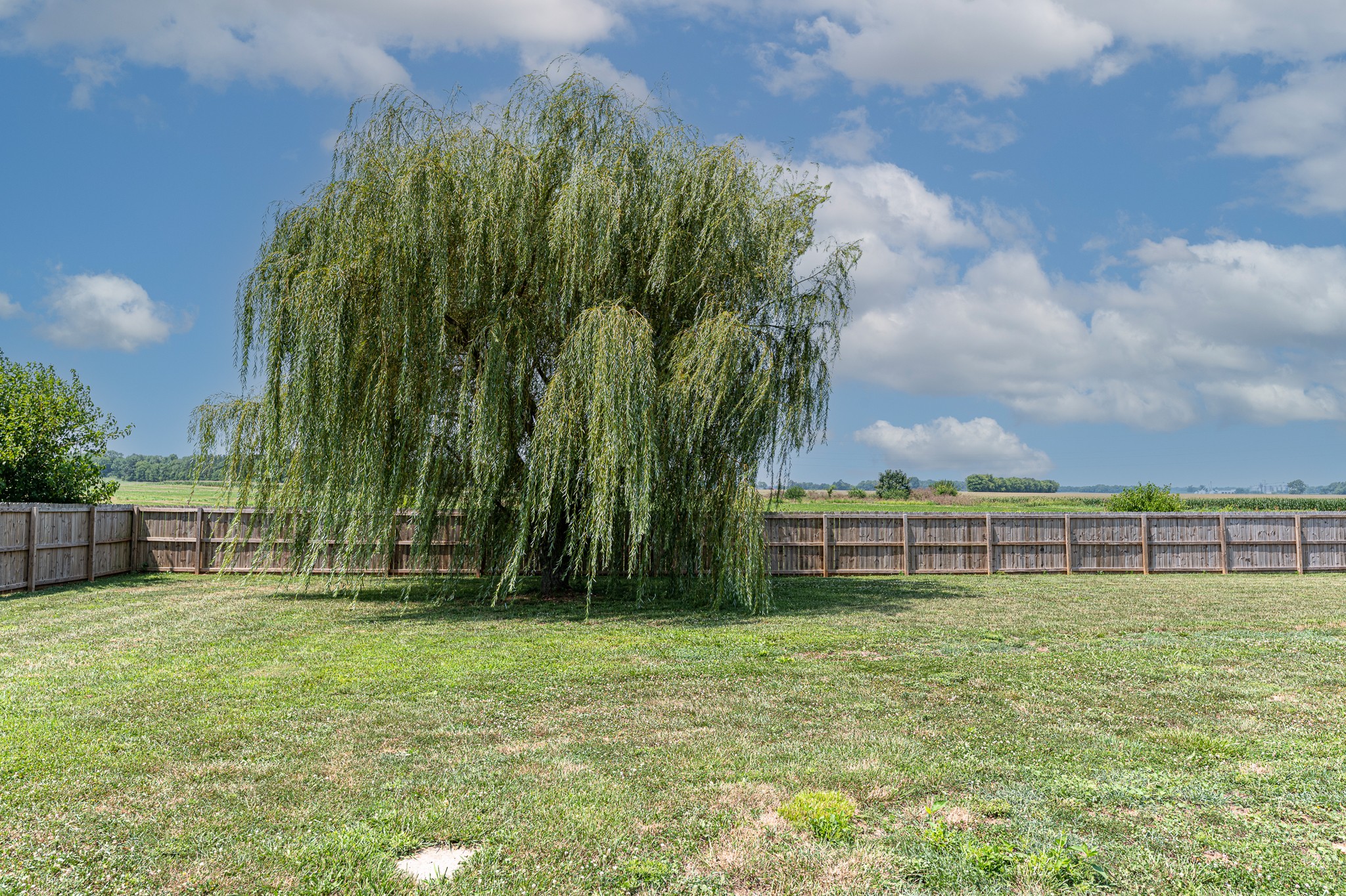 5135 John Rivers Road Pembroke, KY 42266 - Photo 36 of 38 Gallery Image 36