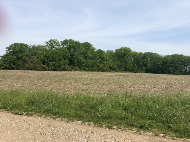 4202 West Greentree Road Vincennes, IN 47591 - Photo 1 of 5 Gallery Image 1