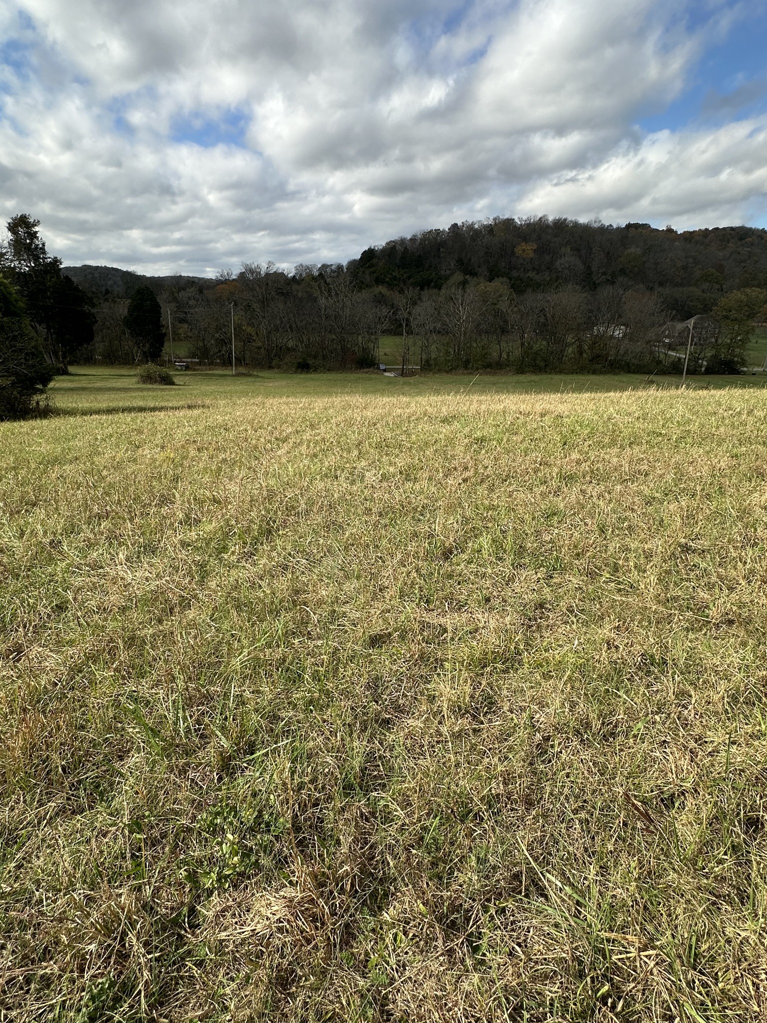 772 Rock Bridge Road Bethpage, TN 37022 - Photo 3 of 11 a view of a lake view