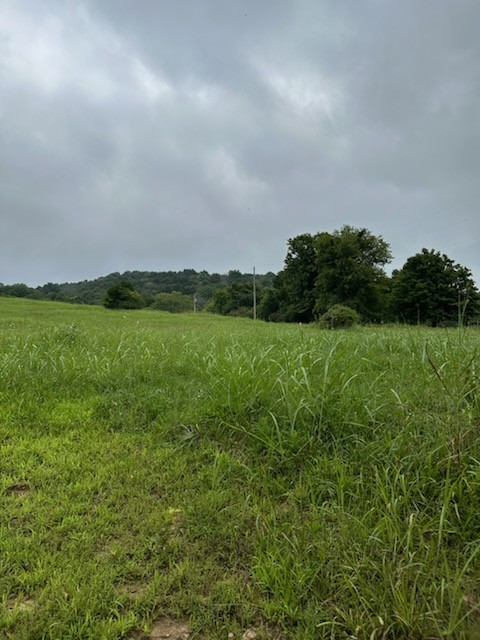 772 Rock Bridge Road Bethpage, TN 37022 - Photo 5 of 11 a view of a green field