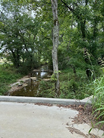 772 Rock Bridge Road Bethpage, TN 37022 - Photo 6 of 11 a view of a park with a tree