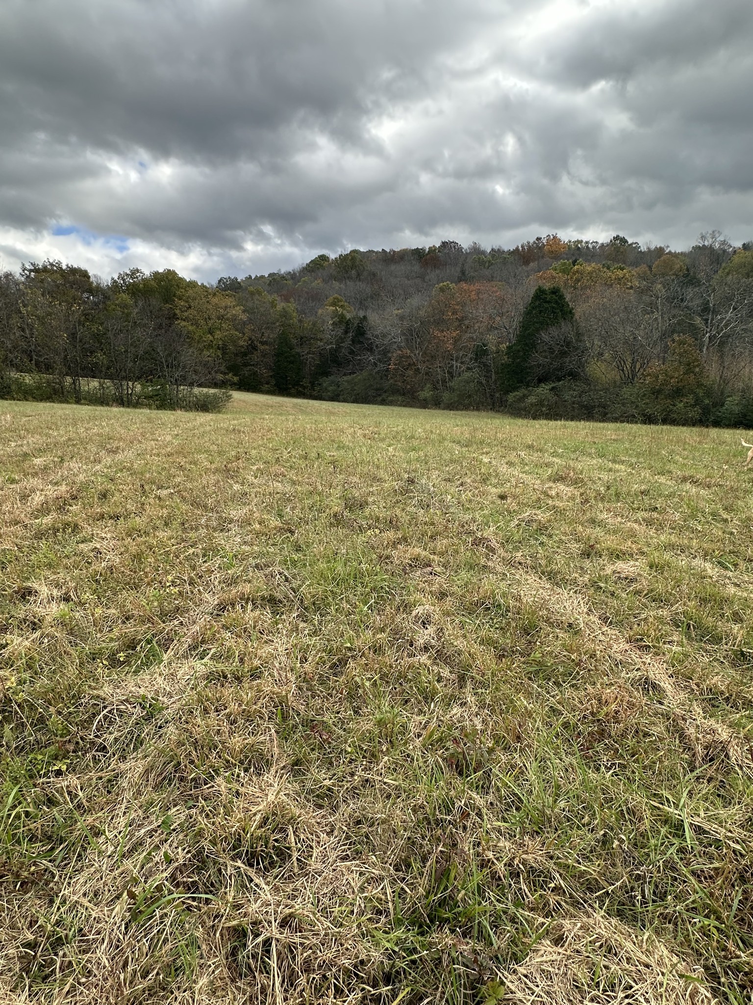 772 Rock Bridge Road Bethpage, TN 37022 - Photo 7 of 11 a view of lake