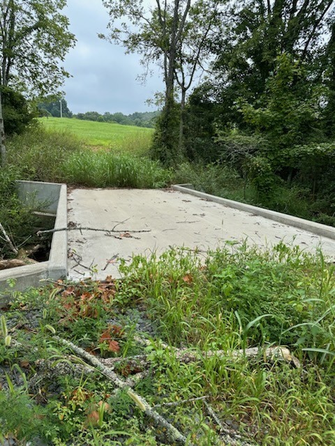 772 Rock Bridge Road Bethpage, TN 37022 - Photo 8 of 11 a view of a yard with plants and a large tree