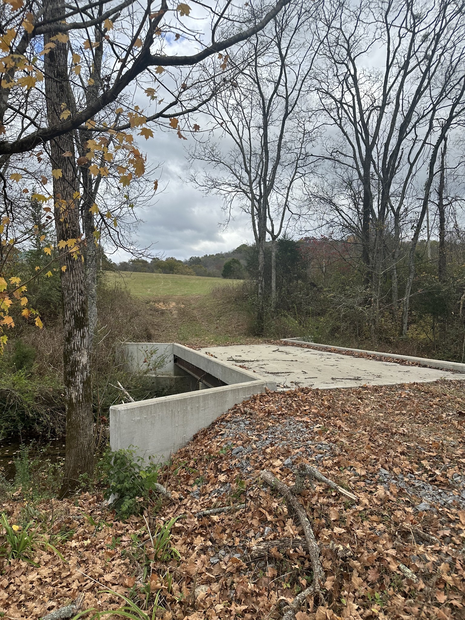772 Rock Bridge Road Bethpage, TN 37022 - Photo 10 of 11 a view of yard with trees