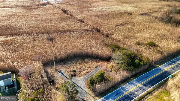 a view of a pathway in a yard