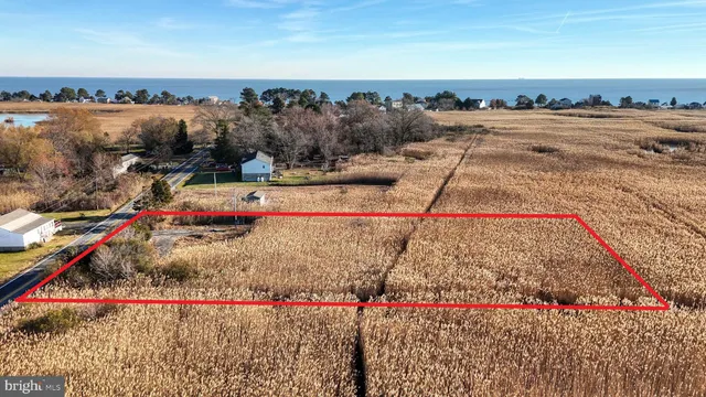 an outdoor space with lots of trees in the background