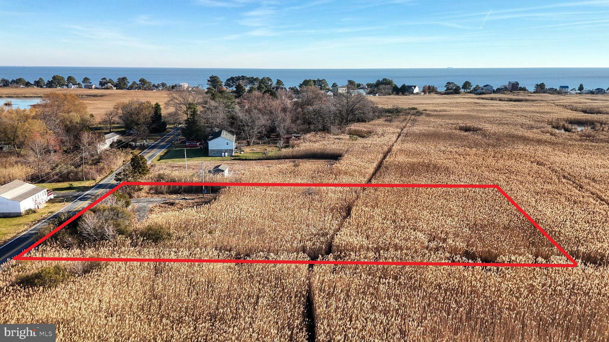 2806 Kitts Hummock Road Dover, DE 19901 - Photo 2 of 15 an outdoor space with lots of trees in the background