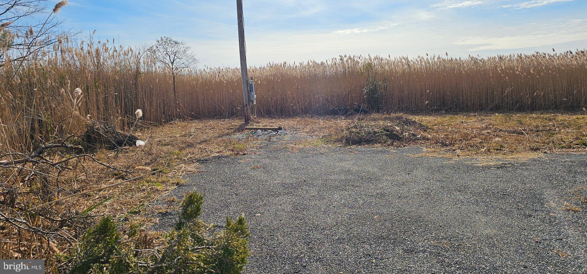 2806 Kitts Hummock Road Dover, DE 19901 - Photo 5 of 15 a view of a backyard