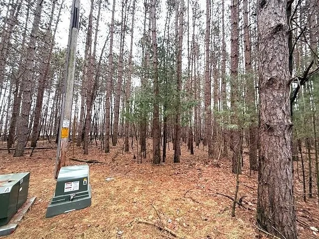 $29,900 | Lake Terrace Drive, Ogdensburg, WI 54962